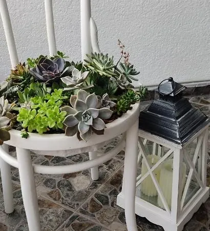 Apartment Studio - Sea View *
